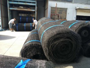 安平县顺华丝网机械有限公司生产品质三维侵蚀防护毯欢迎订购