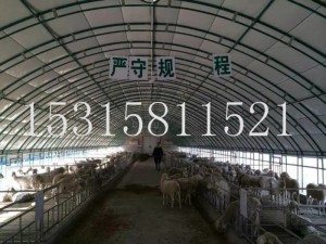 牲畜养殖大棚骨架建造价格 多肉植物种植棚 养殖温室大棚