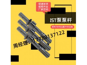 IST泵杆  54:1 734573   现货供应