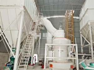 上海硅微粉雷蒙磨粉磨石英石新型节能高产纵摆式磨粉机