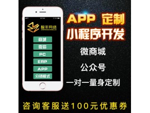 广州微信公众号小程序定制开发