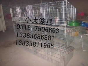 供应鸽子笼 兔子笼 鹌鹑笼 宠物笼 雏鸡笼 运输笼 鹧鸪笼