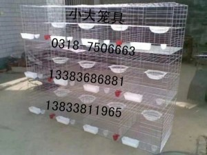 销售鸽子笼 兔子笼 鹌鹑笼 宠物笼 运输笼 鹧鸪笼 育雏鸡笼