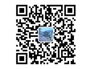 2020年兰州二级建造师二建面授（管理、法规）班开班招生中