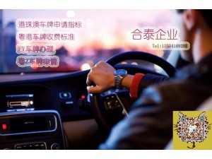 持有香港临时身份证的人可做粤Z牌司机吗