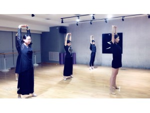 舞蹈班开班管理经营培训西安专业舞蹈培训