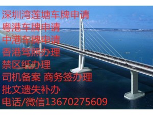 为什么深圳的企业更倾向于申请莲塘口岸和深圳湾口岸的两地车牌？