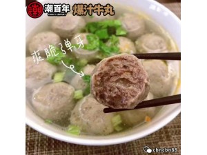 网红潮汕特产牛肉丸招代理