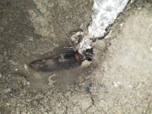 广州漏水检测有限公司，专业地下管道漏水检测