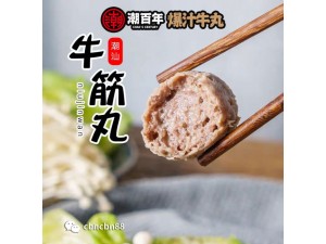 潮州特产汕头厂家批发传统手打牛肉丸