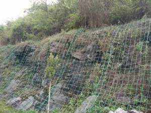 3米宽岩质山坡绿化植物爬藤网 公路边坡绿化植物攀爬网22孔