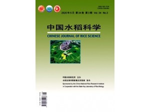 水稻类的杂志要怎么发表呢《中国水稻科学》优秀期刊