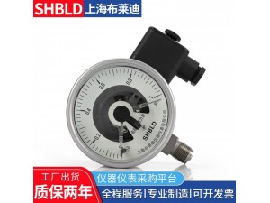 布莱迪YXC-100B-FZ 抗震耐蚀磁助电接点压力表