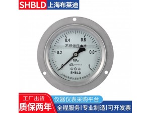 布莱迪YTZ-150电阻远传压力表1.2.5MPA