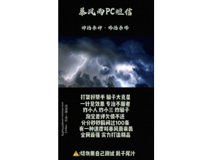 暴风雨PC短信-短信测压暴风雨PC短信卡密购买