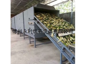 厂家制造带式冬瓜皮烘干机 大型果蔬干燥机