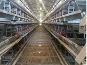 中州牧业批发全自动层叠养鸡设备镀锌鸡笼层叠鸡笼