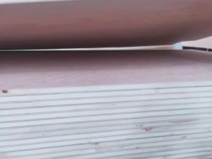 22mm立铺多层板 橱柜专用胶合板