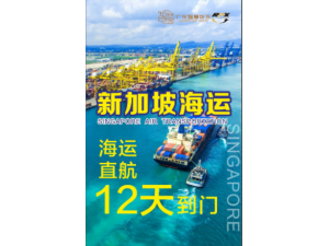 中国出口新加坡印尼马来国际物流双清专线