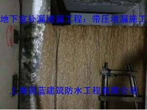 上海别墅地下室渗漏水补漏堵漏注浆防水公司固蓝建筑