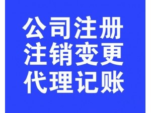 南京全域免费注册公司代账税务服务