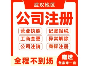 武汉记账报税公司办理武汉大学生注册公司执照1-3天出证