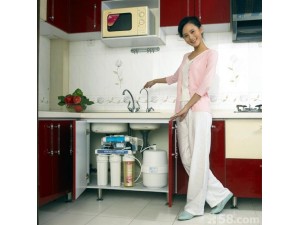 上海厨下式净水器调换滤芯净水器安装移机服务公司