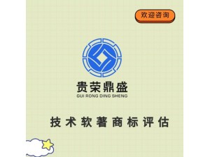 四川省绵阳市知识产权评估专利入股评估技术软著商标评估