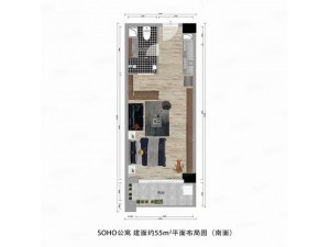 东誉城中央湖景SOHO公寓总价3字开头