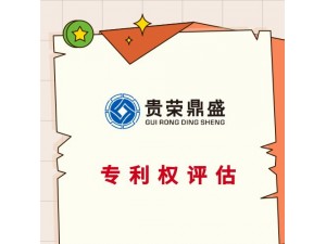 漳州市专利商标实缴评估股权价值评估知识产权评估