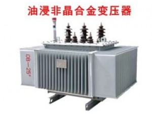 非晶合金油浸变压器SH15-315/0.4