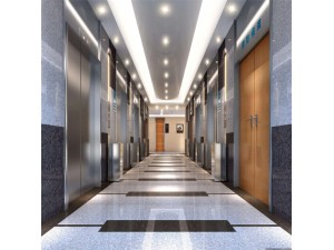 高端电梯定制 家用别墅复式电梯 综合体电梯安全可靠
