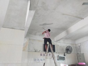 深圳市中盛隆装饰防水有限公司