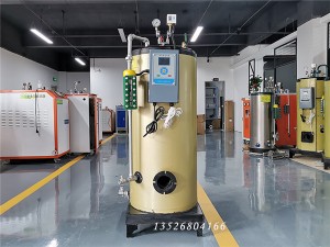 蒸馒头小型0.1吨燃气蒸汽发生器 FS10利雅路燃气燃烧器