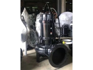 400WQ1600-22-160KW耐腐蚀污水泵