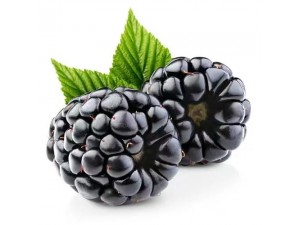 五分钟带您了解保加利亚黑莓进口清关方案的制定