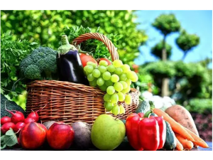 2024第十四届中国南京国际有机绿色食品及特色农产品博览会