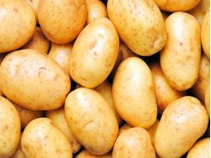 青岛港土豆出口商检清关让专业代理帮您解决