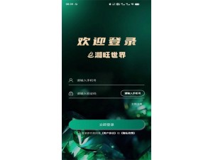 湘旺世界系统项目开发智创有术