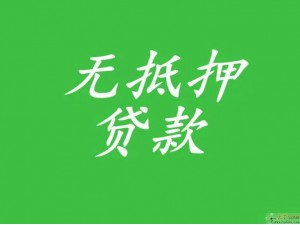 四川省成都市锦江区：企业过桥快捷来 2024 新品