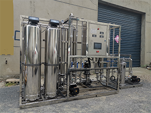 食品加工纯化水设备/过滤精度高/精心设计专业定制