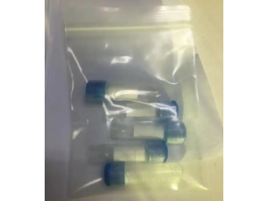 生物发光检测荧光素酶生产厂家