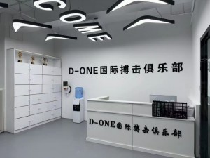 北京市东城区哪里可以学武术D--ONE搏击这可以学