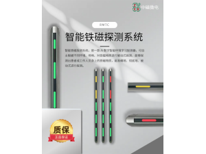 中磁-铁磁探测系统双柱8分区