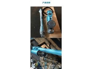 DT800-200电动推杆