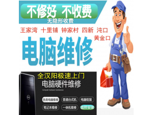 汉阳电脑维修中心